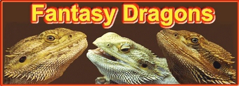 Fantasy Dragons