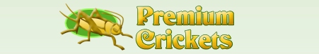 Premium Crickets